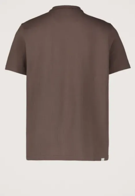 New Molo Polo T-shirts|Polo's