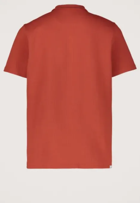 Molo Polo T-shirts|Polo's