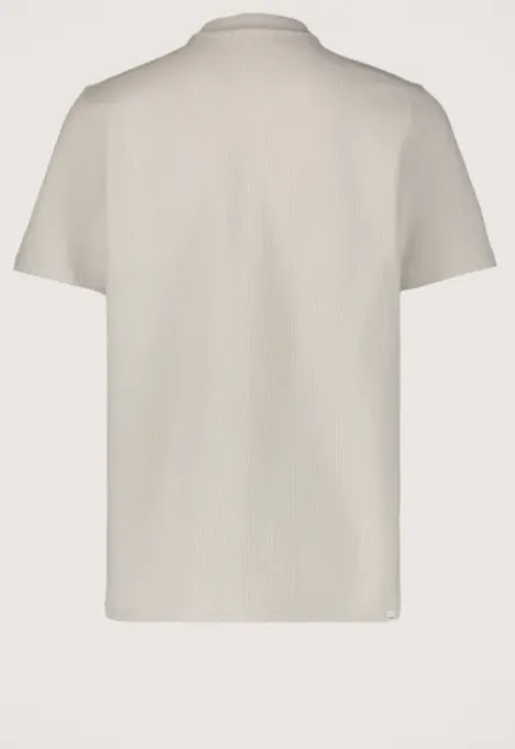 New Molo Polo T-shirts|Polo's