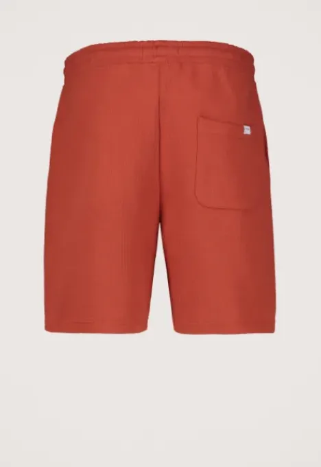 Hot Mosho Quilt Short Shorts