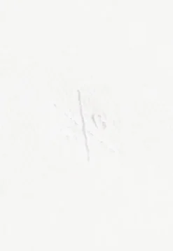 Parson Polo T-shirts|Polo's