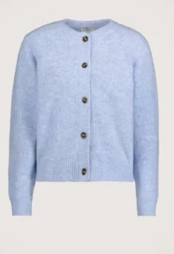 Sale Phine vest Truien & Vesten